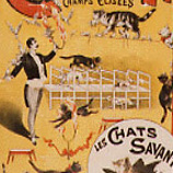 D 0036 Ch. Levy - Cirque d'Eté, les chats savants