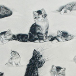 P 0084 Henriette Ronner-Knip - Hare katjes