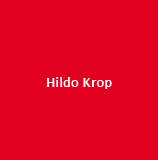Hildo Krop